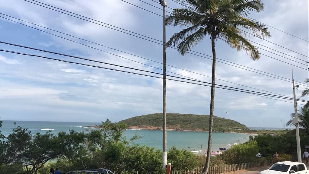 Native Vegetation & Rocky Shores