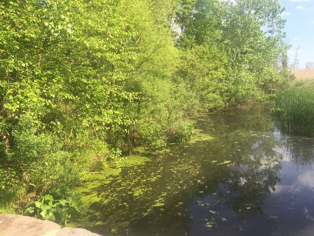 Raritan Bay Waterfront Views