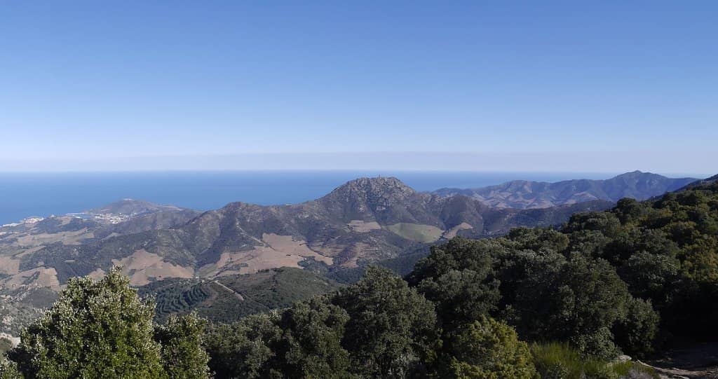 Scenic Wooded Hiking Trail