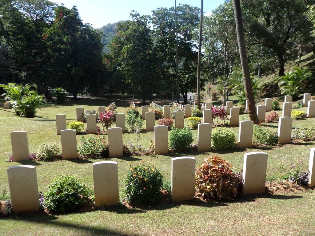 Lush Greenery and Flowers