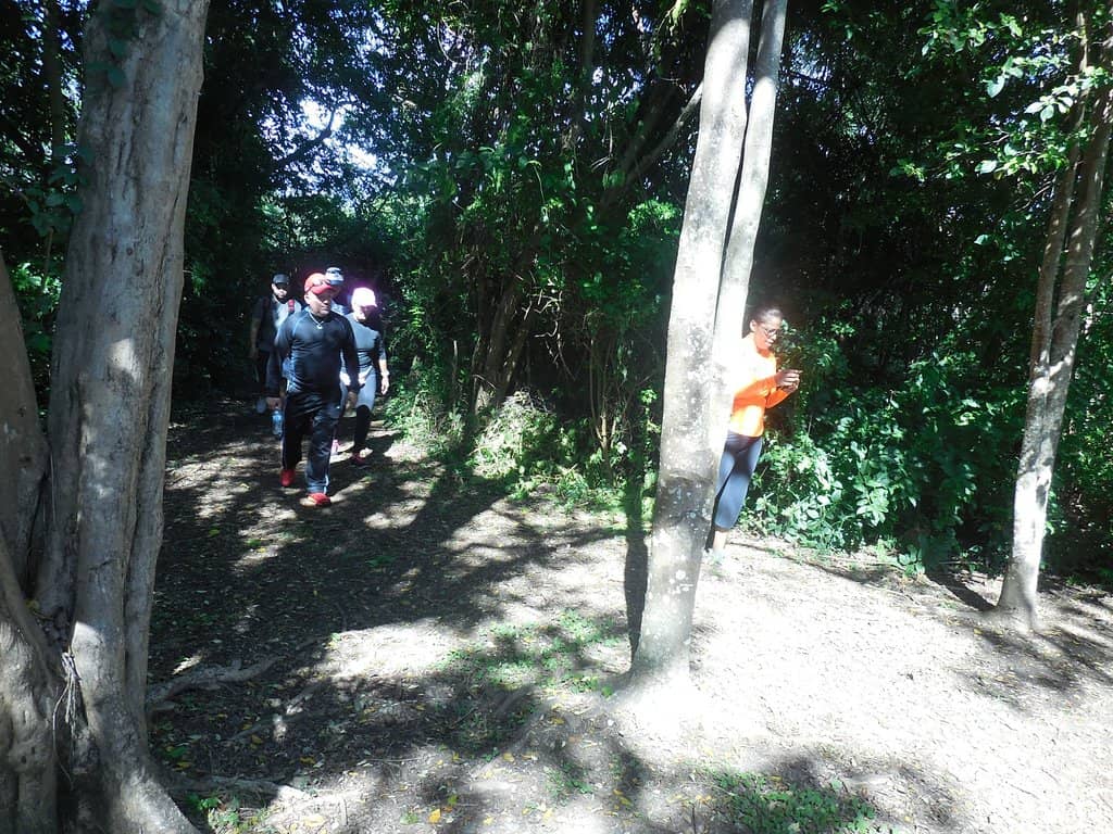 Birdwatching Paradise