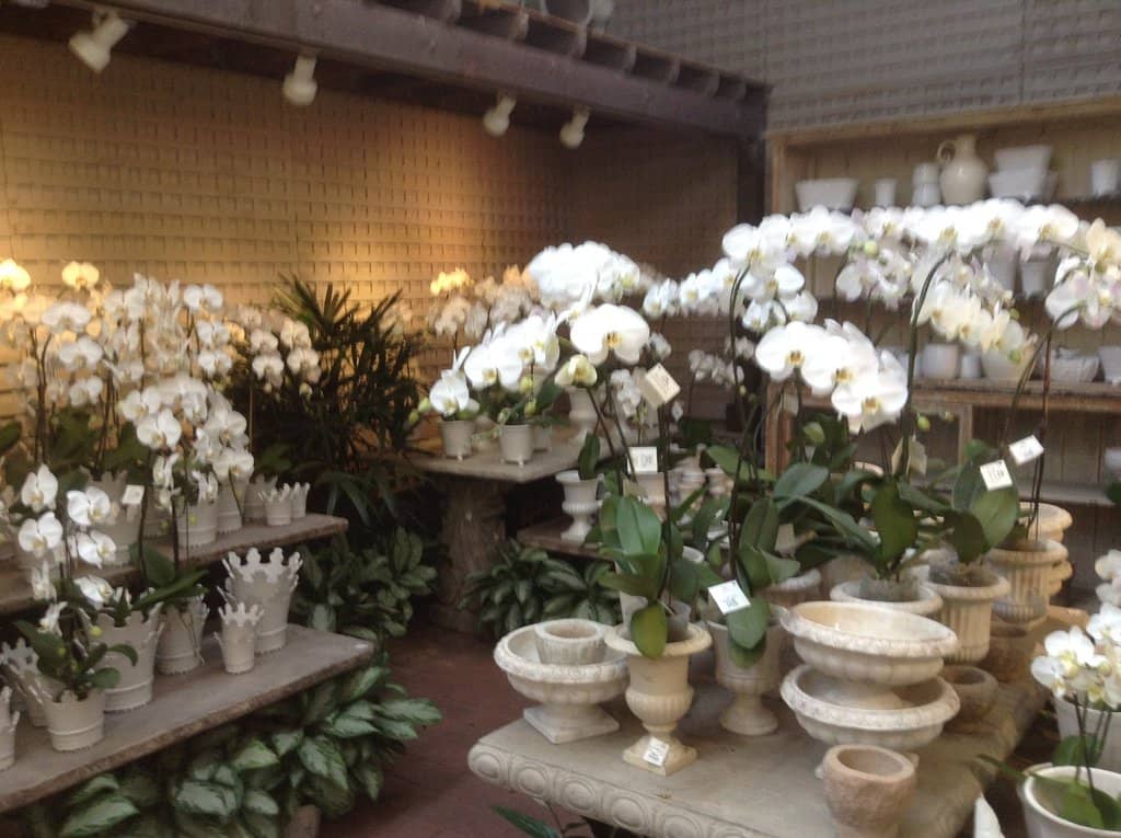 The Farmhouse Restaurant