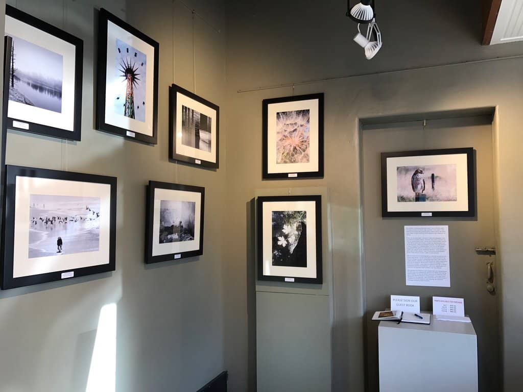 Affordable Art Purchases