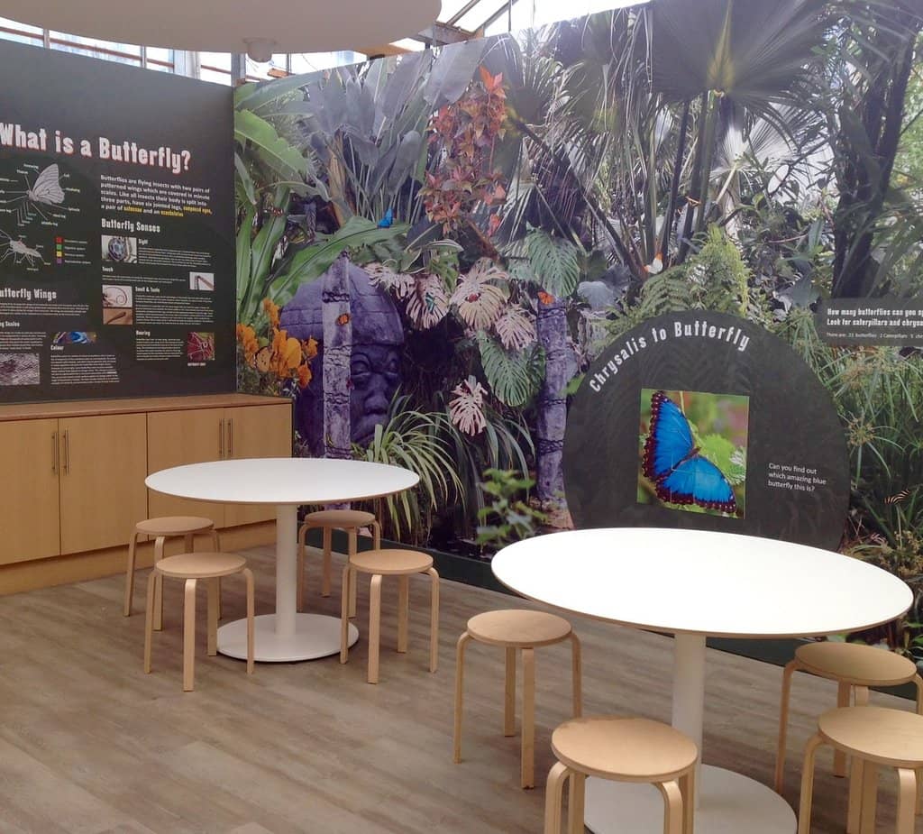 The Rainforest Flight Area