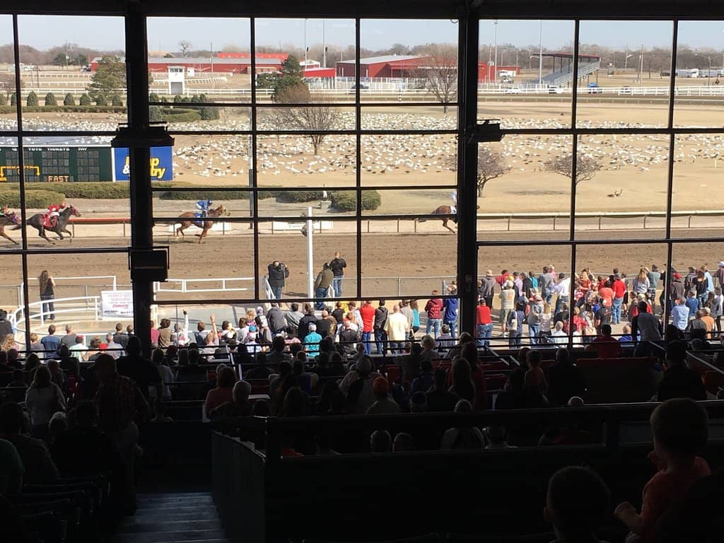 Toast Nebraska Wine Festival