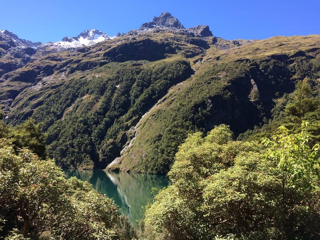 Vertical photo