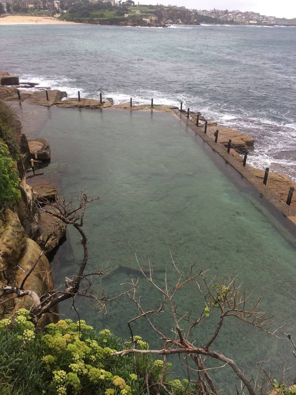 Marine Life Spotting