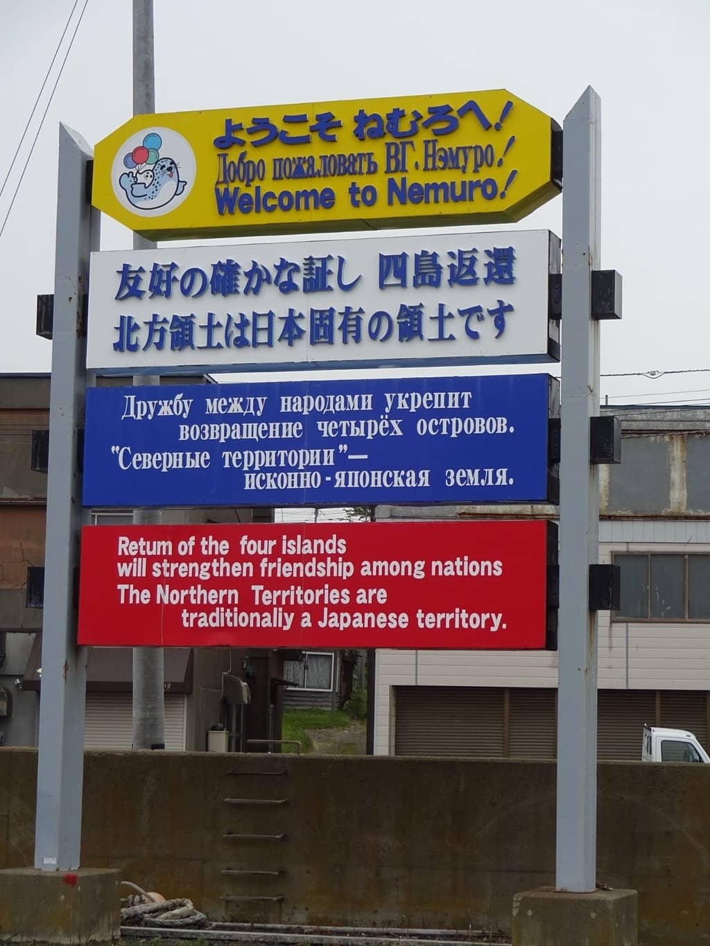 Giant Seagull Spotting