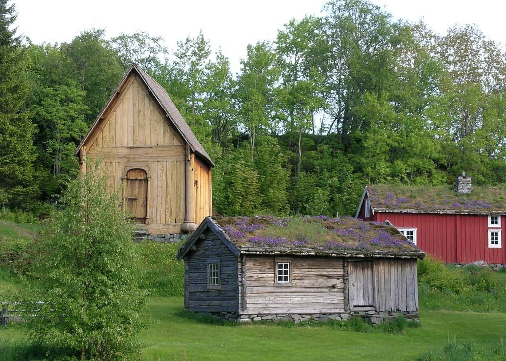 Apothecary & Apartment