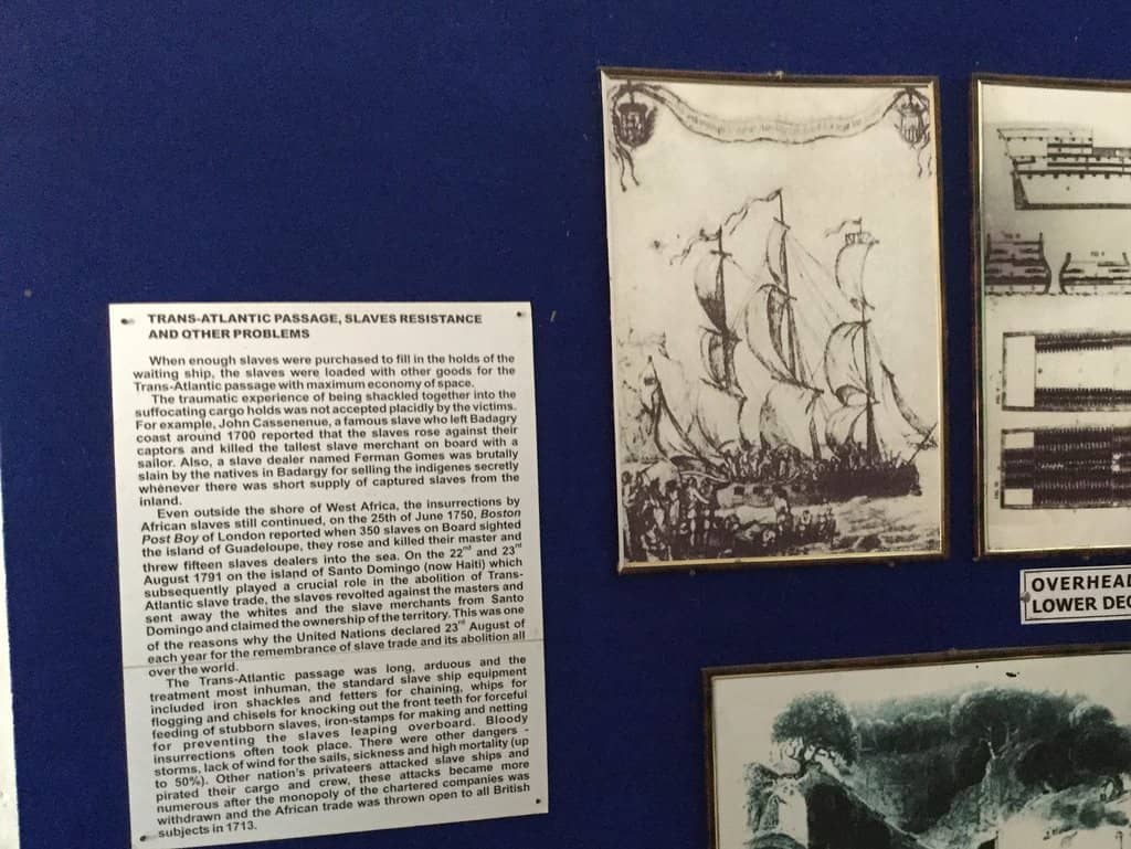 Narratives of Resilience and Freedom