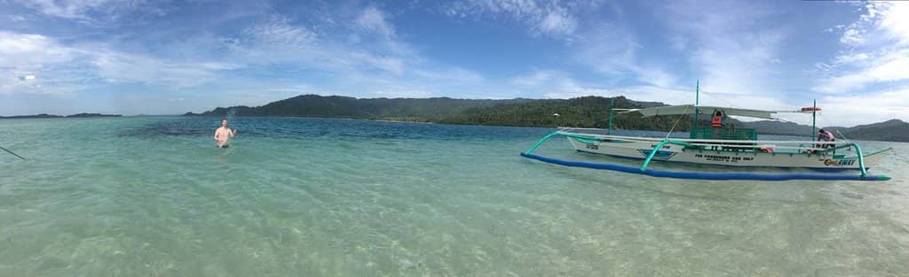 Turtle Nesting & Release