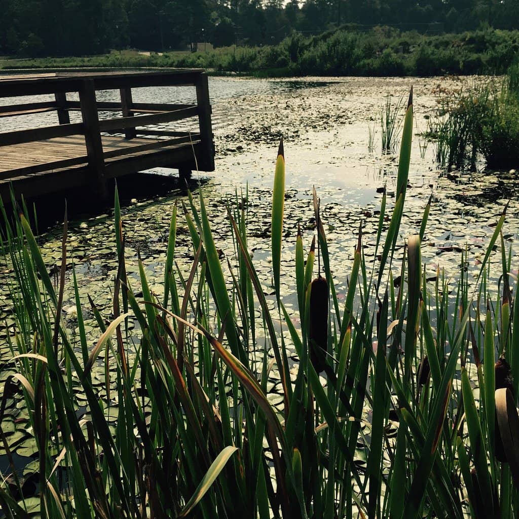 Family Fun at the Pool