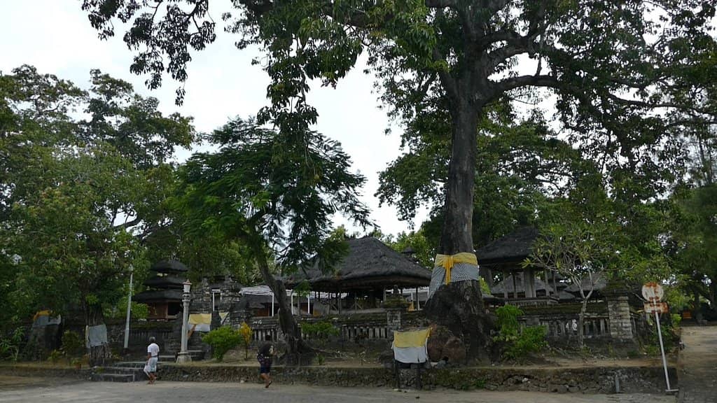 Ancient Kepah Tree