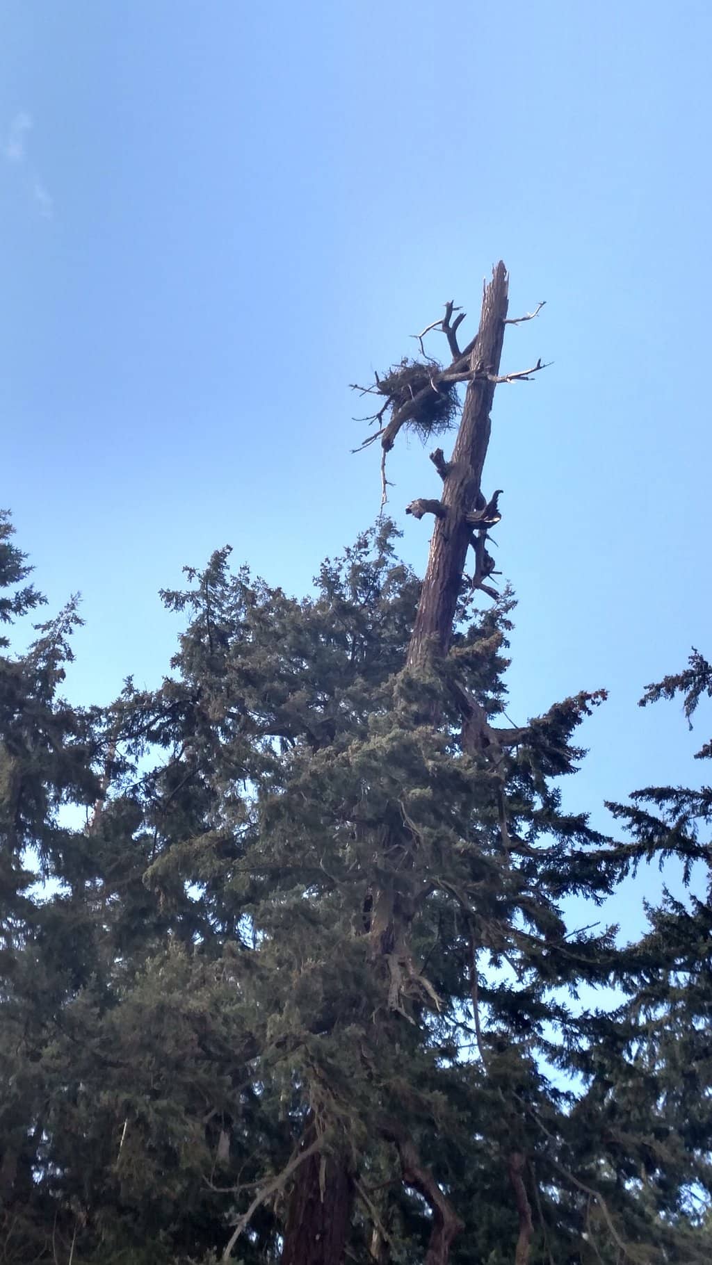 Panoramic Puget Sound Views