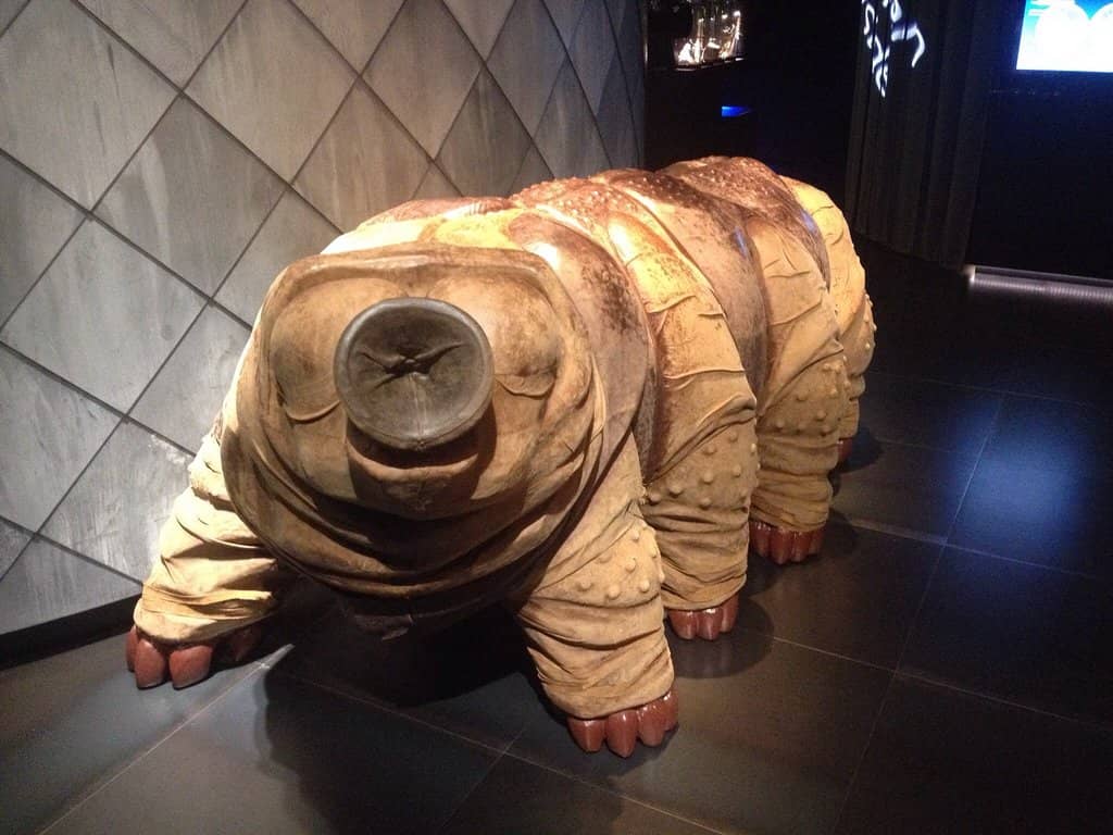 Microbe Cultivation Lab