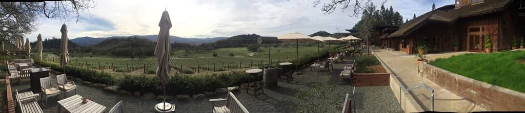 Stunning Vineyard Views