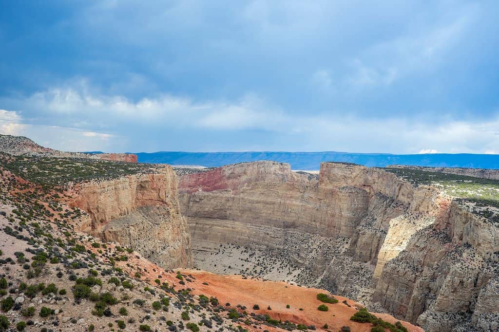 Wild Horse Sightings