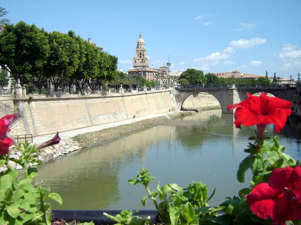 A Glimpse of Local Life