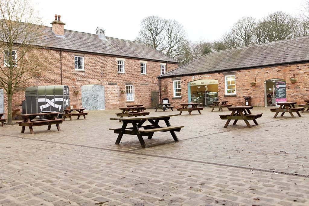 Mini Golf & High Ropes