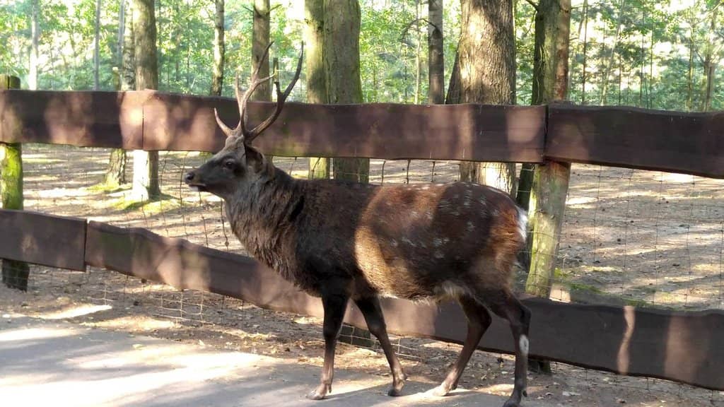 Adventure Playgrounds