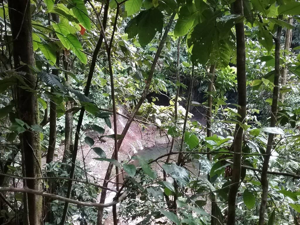 Crystal Clear River Basin