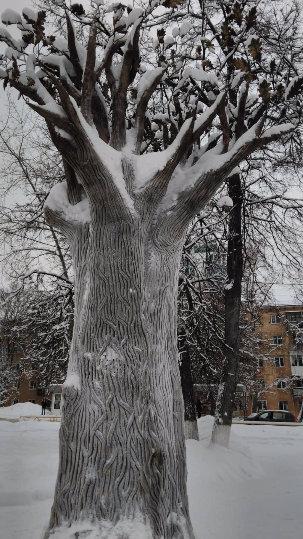 Behind-the-Scenes Excursions