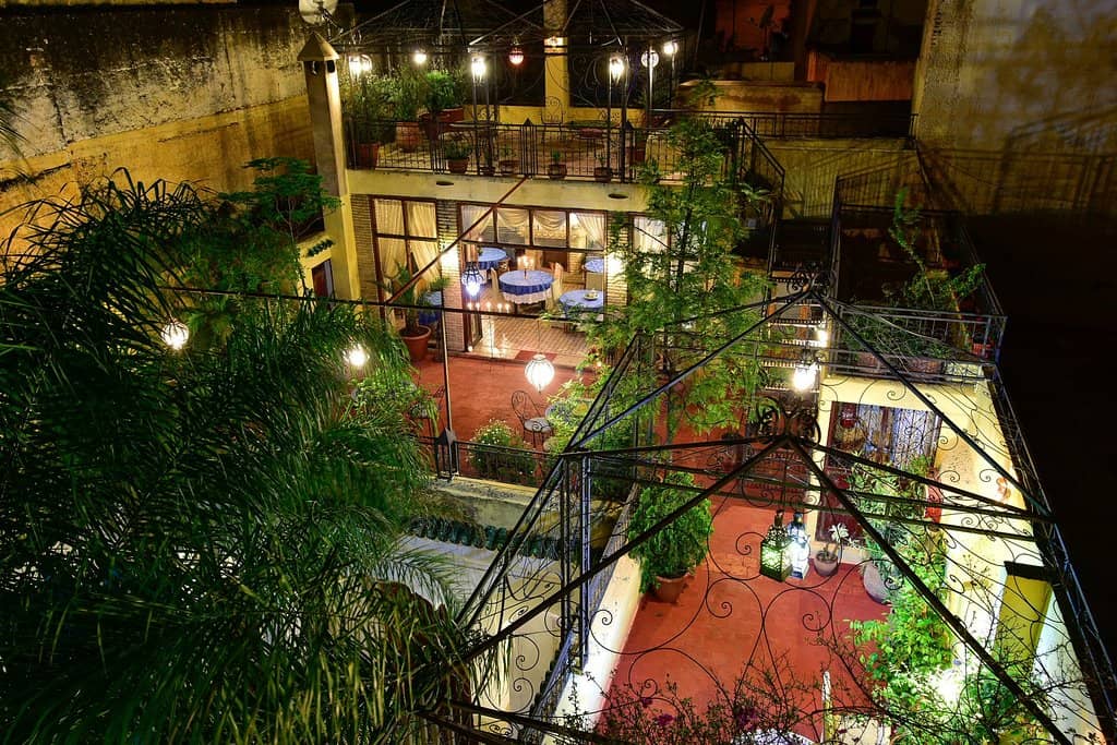 Lush Courtyard Ambiance