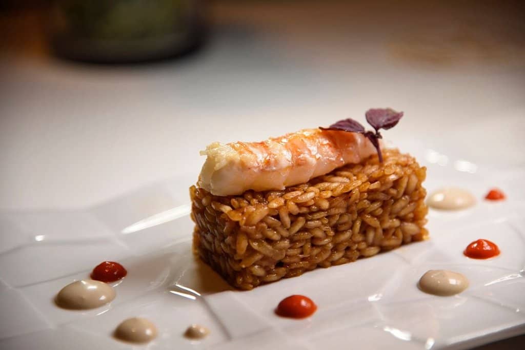 Michelin-Starred Gastronomy