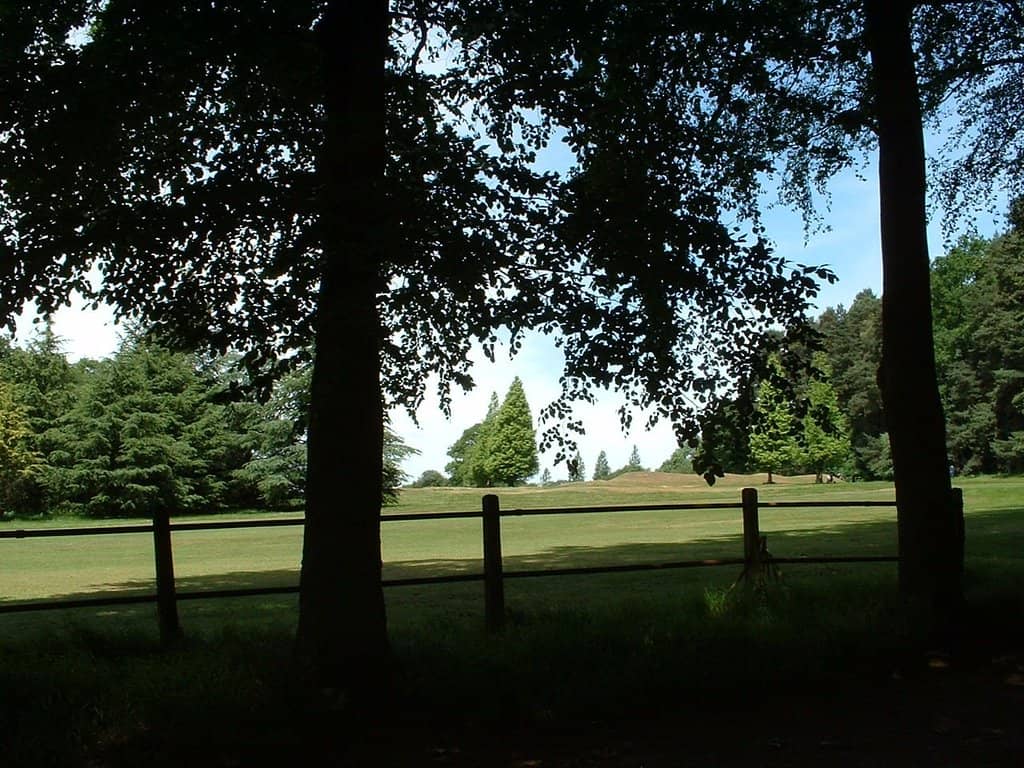 Children's Playground