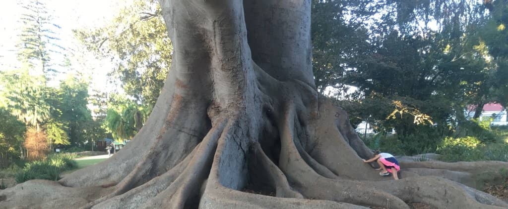 Tranquil Picnic Spots