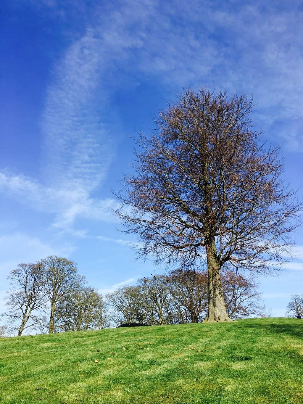 Shaded Seating Areas