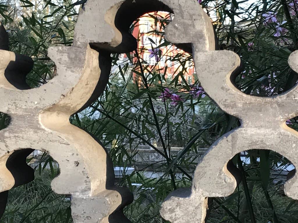 Bethmannpark's Greenery