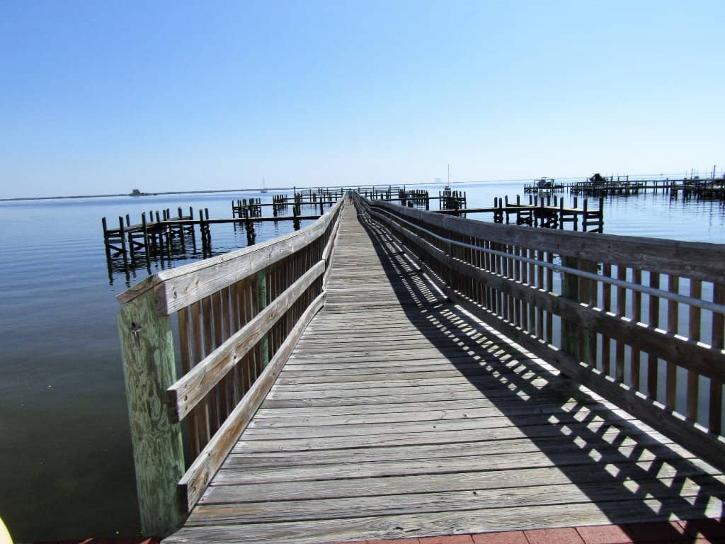 Peaceful Waterfront Stroll