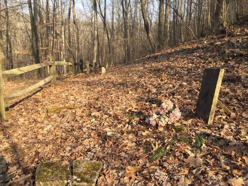 Extensive Trail Network