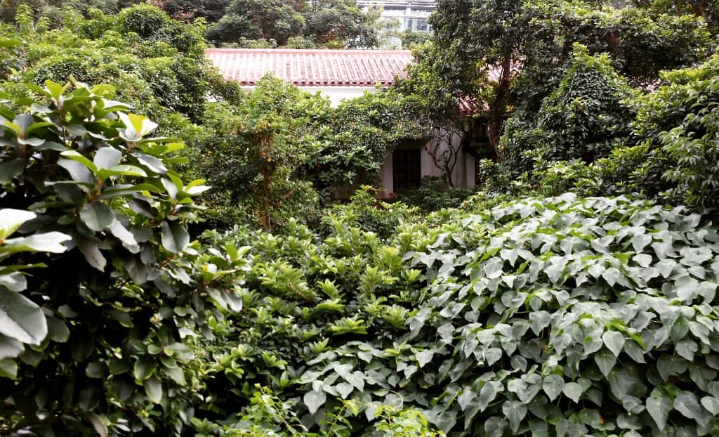 Chantal Miller Gallery