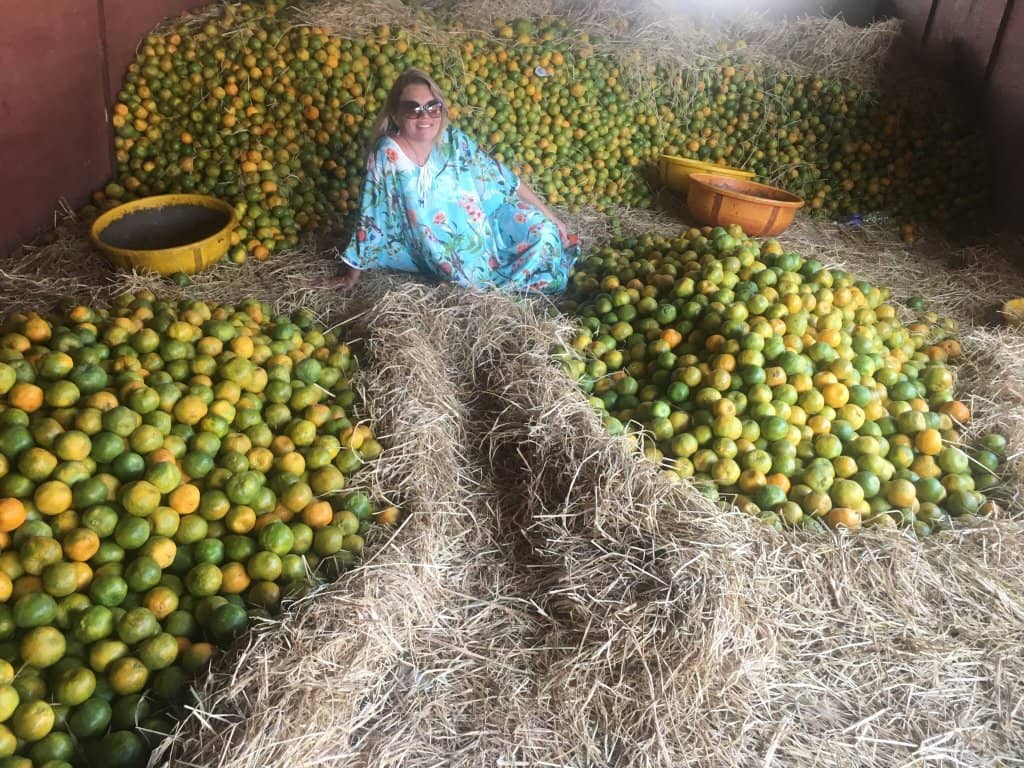 Authentic Goan Delicacies