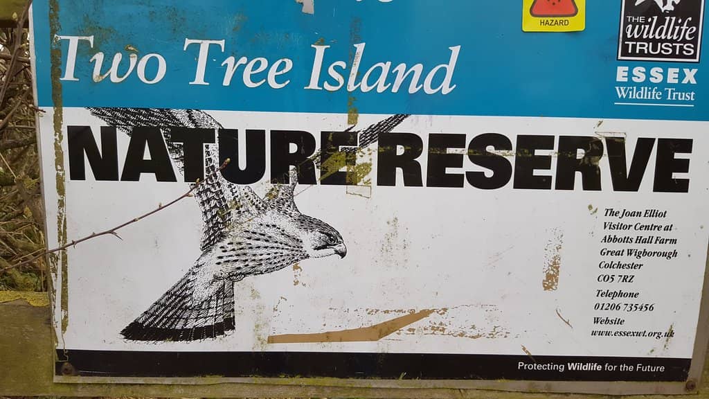 Winter Bird Spectacle