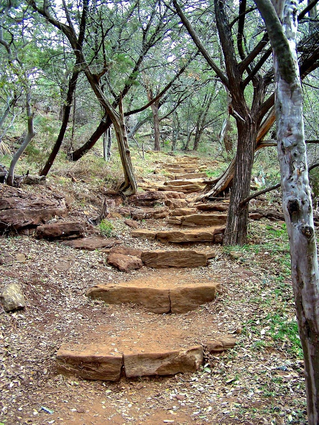 Observatory Stargazing