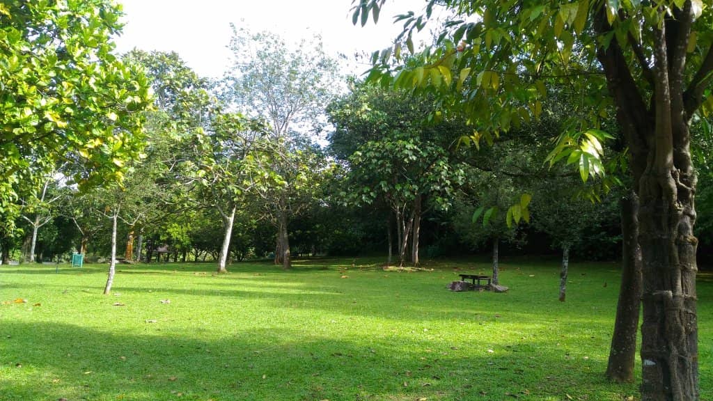 Picnic Spots