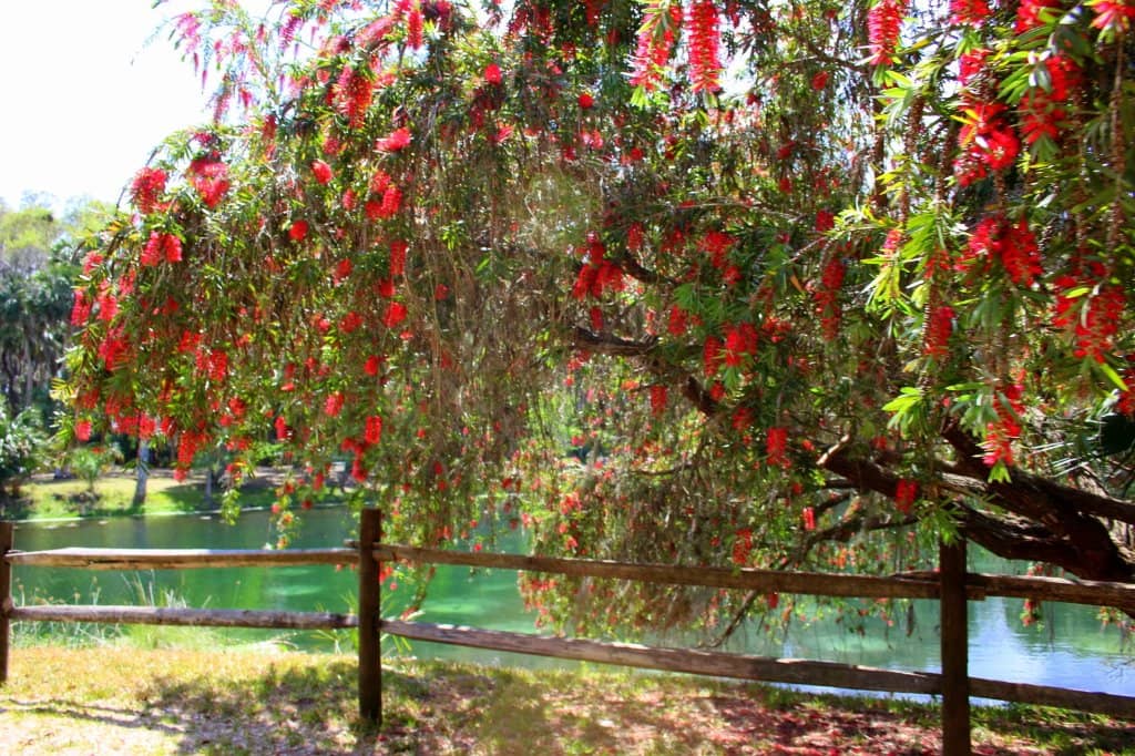 Picnic & Event Pavilions
