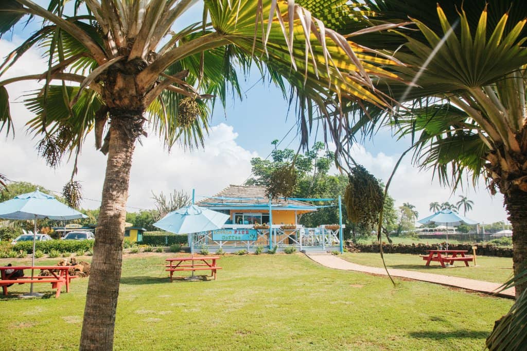 Unique Coffee Creations