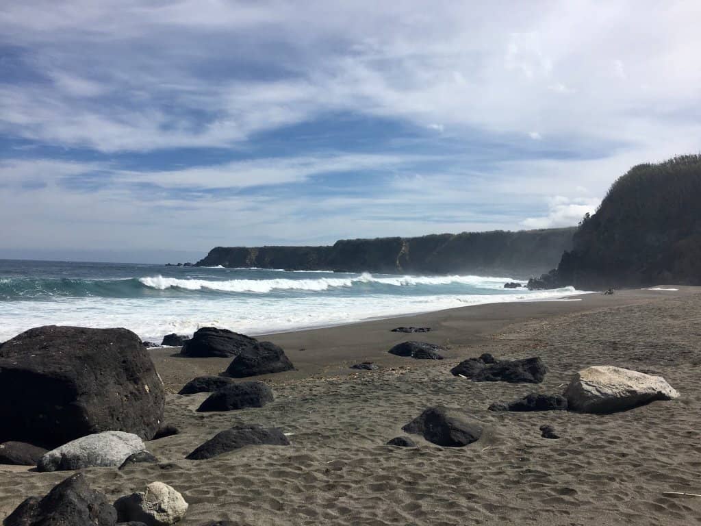 Scenic Cliffs and Flora