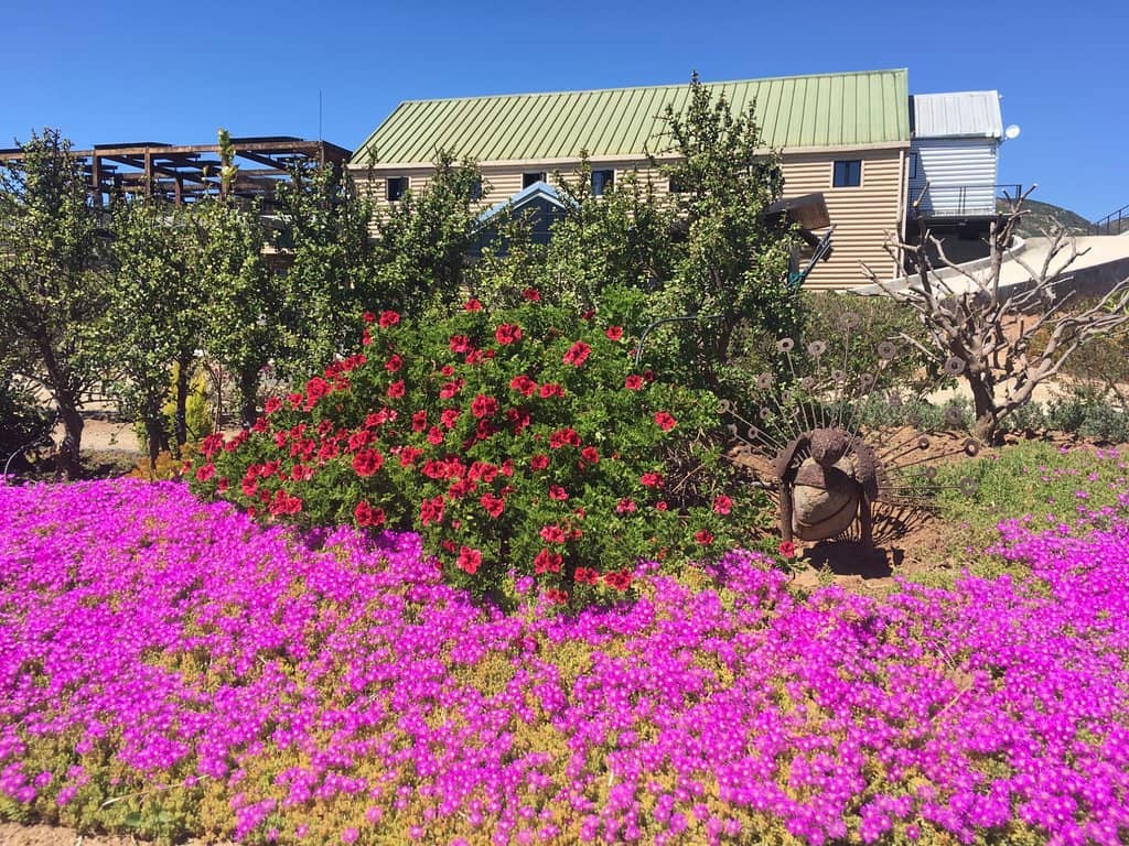 Beautifully Landscaped Grounds