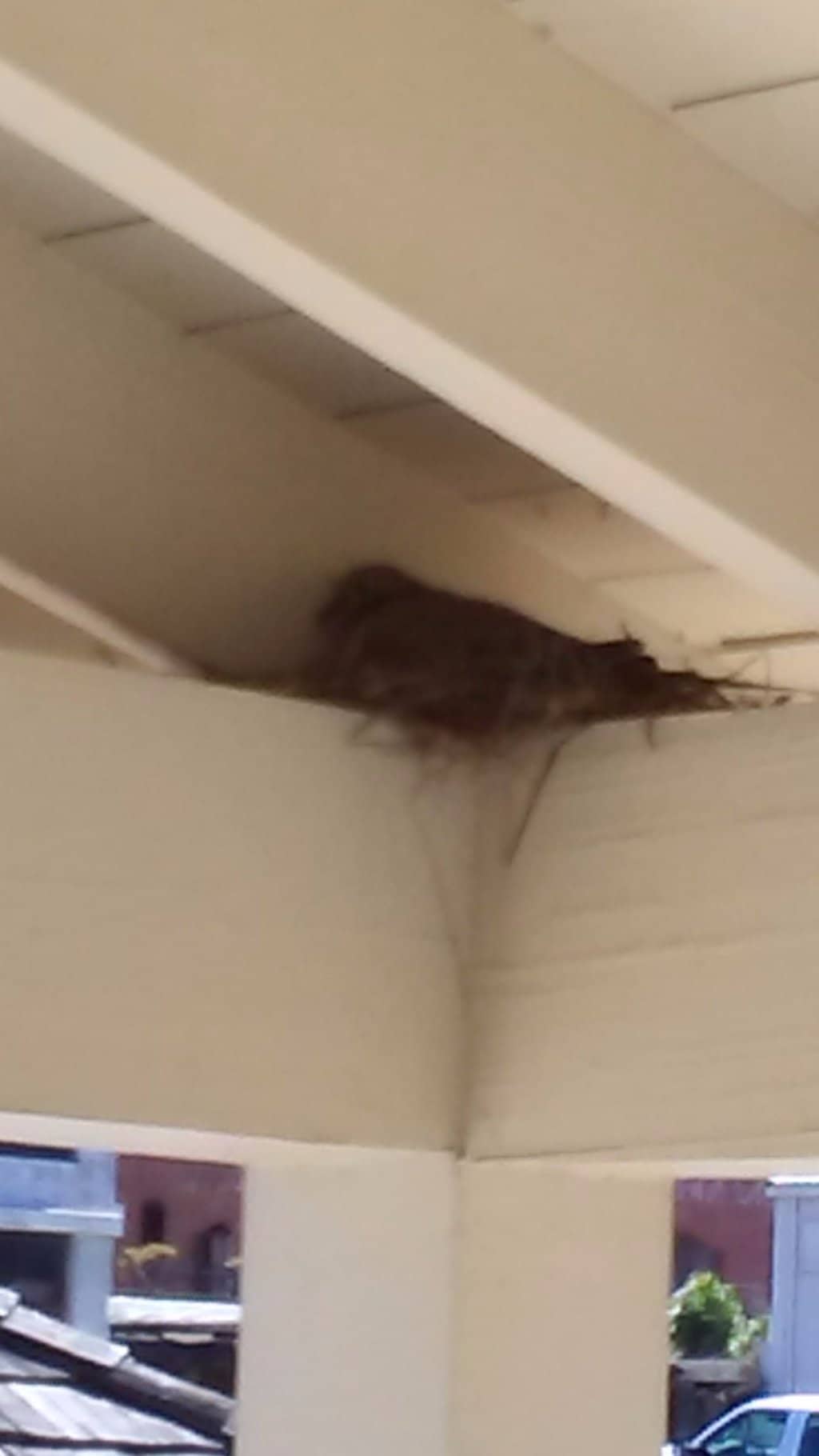 Interactive Exhibits