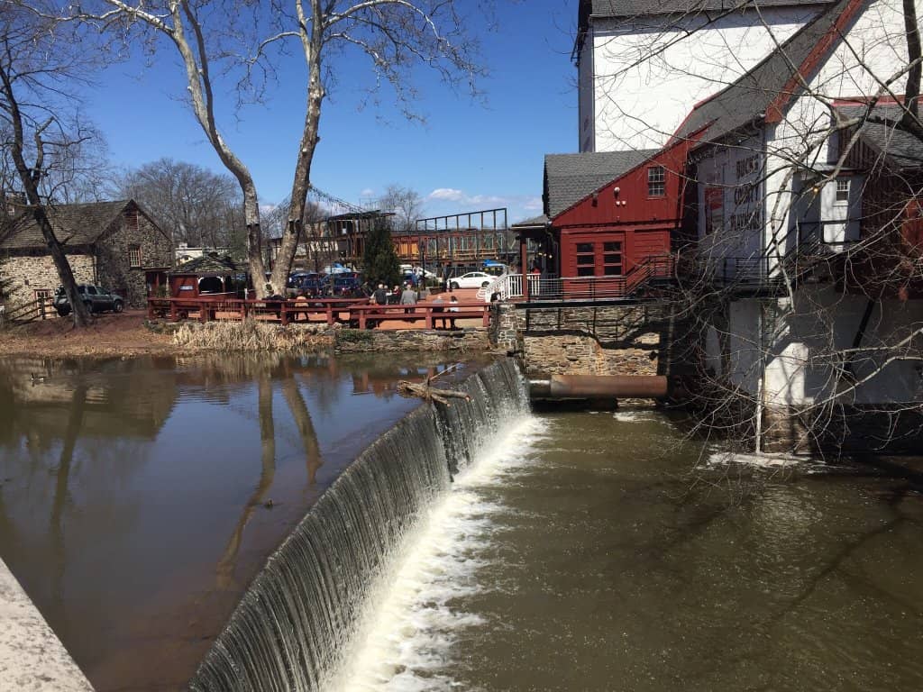 Wooded Hiking Trails