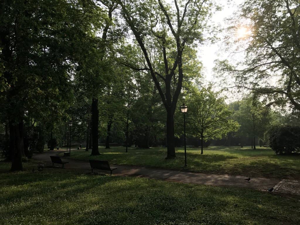 Centennial Trees