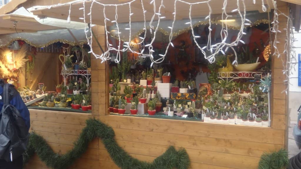 Multicultural Atmosphere