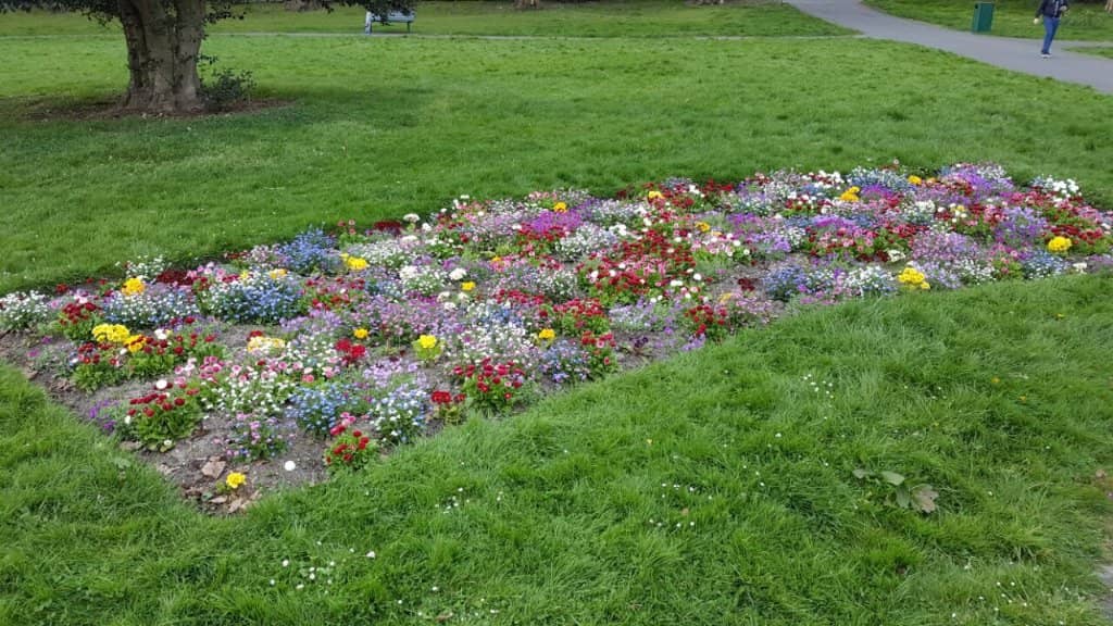 Independent Bookstores