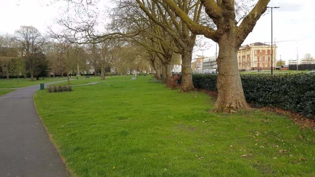 Tranquil Green Escape