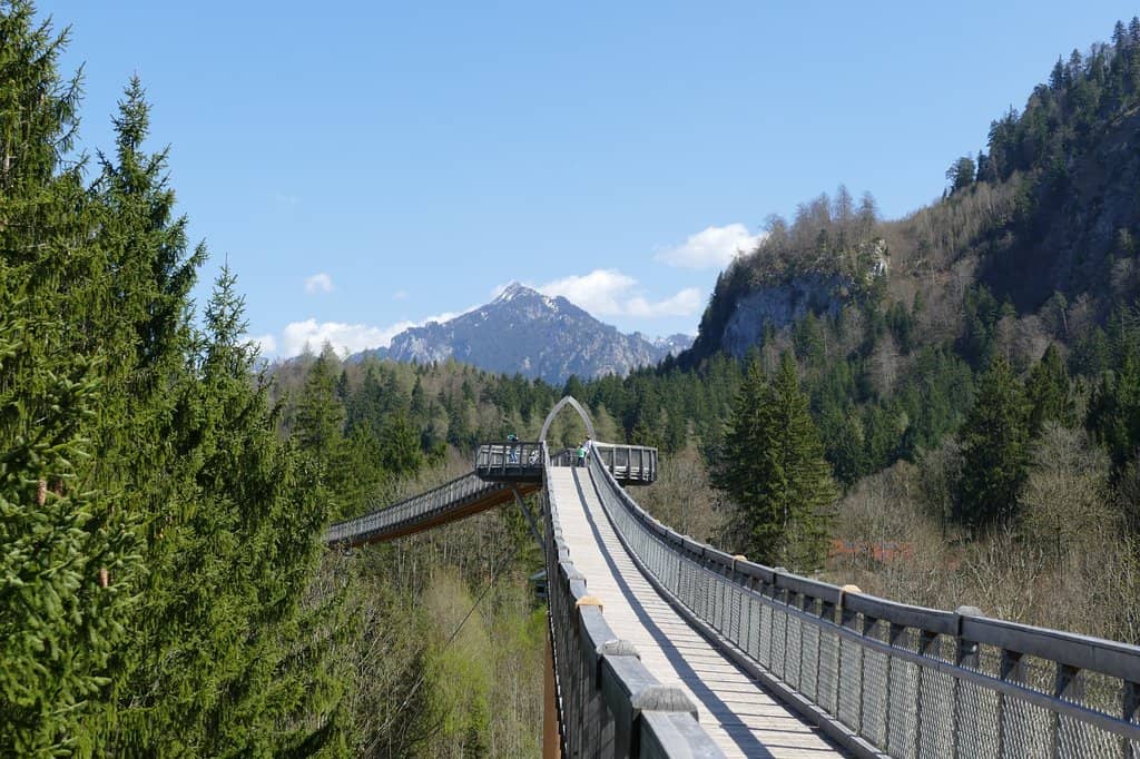 Adventure Playground Circuit